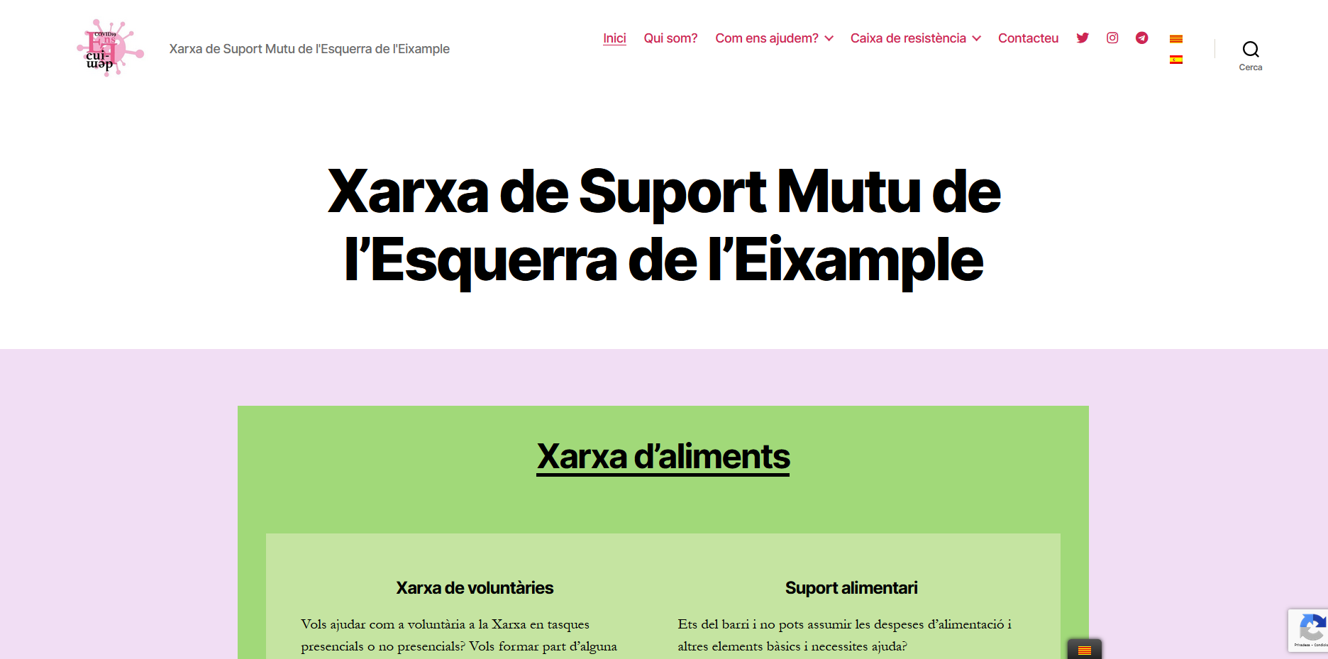 Adaptació i disseny web per la Ens cuidem